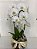 Orquídea Phalaenopsis no vidro - Imagem 1