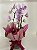 Orquídea Phalaenopsis - Imagem 1