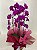 Orquídeas Phalaenopsis cachepô - Imagem 1