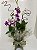 Orquídea Denfale - Imagem 1