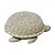 Cesto Baby Turtle 22 x 25 x 10 cm - Imagem 1