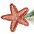 Enfeite varinha mágica Starfish 15 x 45 cm - Imagem 2