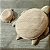 CESTO MAMA TURTLE 45 X 70 CM - Imagem 3