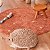 Almofada Hedgehog 50 x 65 cm - Imagem 4