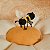 Almofada Little Daisy  35 cm - Imagem 3