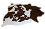 TAPETE DE COURO MARROM E BRANCO ESPECIAL BIS-01 - Imagem 2