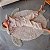 TAPETE LAVAVEL SEA TURTLE 110 X 130 CM Lorena Canals - Imagem 3