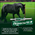 Piraverme Gel Lavizoo 25g Vermífugo Oral Para Equinos - Imagem 2