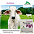 Proverme 28g J.A. Saúde Animal – Vermífugo Sache Solúvel - Imagem 2