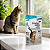 Credeli Gatos 48 mg Antipulgas para Gatos de 2,1 a 8 kg – 1 Comprimido - Imagem 2