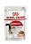 Sachê Royal Canin Instinctive para Gatos Adultos - 85 g - Imagem 1