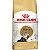 Royal Canin Persian Adult 1,5 kg Ração para Gatos Persas - Imagem 1