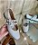 Sapatilha Tiras Com Ilhos Off White Rebeca - Imagem 2