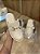 Mule Off White Com Fivela Mariah - Imagem 3
