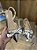 Sapatilha Slingback Prata Laço Joana - Imagem 1