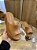 Tamanco Flatform Slide Caramelo Cindy - Imagem 2