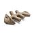 BENEBONE Fishbone Puppy - Imagem 3
