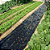 Mulching Preto/Preto Agroplás 1,40x1000 - Perfurado - Garantia 8 meses - Imagem 2