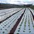 Mulching Preto E Branco 1,20x1000 Ref 25 - Imagem 5