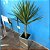 Vaso espelhado completo com planta - Palmeira Yucca - Imagem 1