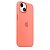 Capa de Silicone para Iphone 14 - Coral - Imagem 3