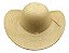 Chapeu de Palha Simples CPS-1000 - Imagem 1