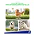 Máquina De Cortar Pelos Pets E Animais De Estimação KM-CW2100 - Imagem 5