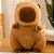 Capivara Brinquedo De Pelúcia 23cm CAPIVARA-0184 - Imagem 7