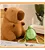 Peluches De Capivara E Mochilas Pequenas De Tartaruga 30cm - Imagem 3