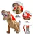 Dinossauro T-rex Toy JF-29 - Imagem 1