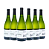 COMBO DE 6 UNIDADES - TRAMINER 2022 - Imagem 1