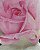 Quadro floral Rosa - Tinta Óleo Sobre Tela 40x50cm - Imagem 5