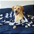Manta Silhueta de Cachorros - Várias cores e 2 tamanhos - Imagem 5
