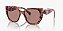 Prada PR24ZS-55-18N10D Begônia Tartaruga conhaque Lentes Marrom claro - Imagem 1