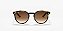 Ray-Ban Junior RJ9064S-44-152/13 Havana Lente Marrom - OCULOS INFANTIL - Imagem 2