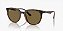 Oculos de Sol Ray-Ban RB4383L-53-710/73 Marrom Lente Marrom total - Imagem 1