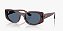 Ray-Ban Nowness B4446L-54-678580 Marrom translucido Lente Azul total - Imagem 1