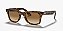 Ray-Ban Wayfarer Ease RB4340-50-710/51 Havana-Claro Lentes Marrom Degradê - Imagem 1