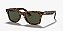 Ray-Ban Wayfarer Ease RB4340-50-710 Havana Claro Lente Verde G15 - Imagem 1