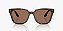 Óculos de Sol Ray-Ban RB4437L-55-710/73 Havana escuro Lentes Marrom - Imagem 2