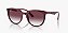Oculos de Sol Ray-Ban RB4383L-53-655336 Havana Vinho Lente Rosado degrade - Imagem 1