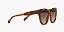 Oculos de sol Grazi GZ4067-54-M645 Tartaruga marrom lentes Marrom degradê marrom-escuro - Imagem 5