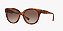 Oculos de sol Grazi GZ4067-54-M645 Tartaruga marrom lentes Marrom degradê marrom-escuro - Imagem 1