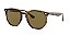 Óculos de sol Ray-Ban RB4306L-54-710/73 Havana claro lentes Marrom-escuro - Imagem 1