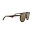 Óculos de sol Ray-Ban RB4306L-54-710/73 Havana claro lentes Marrom-escuro - Imagem 4