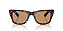 Óculos de sol Ray-Ban Mega Wayfarer RB0840S-51-902/53 Havana lentes Marrom - Imagem 8
