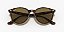 Óculos de sol Ray-Ban RB4305-53-710/73 Havana claro lentes Marrom-escuro - Imagem 6