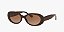 Óculos de Sol Kipling  KP4083-54-N140 Marrom lentes Marrom-claro degradê Marrom-escuro - Imagem 1