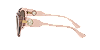 Michael Kors MK2119 PALERMO Camila Rose Transparent Lentes Grey Pink Gradient - Imagem 3
