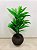 Planta Artificial Dracena Tropical Com Vaso - Imagem 1